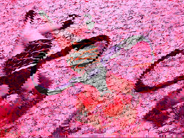 gumihohannya image ~ Altpins