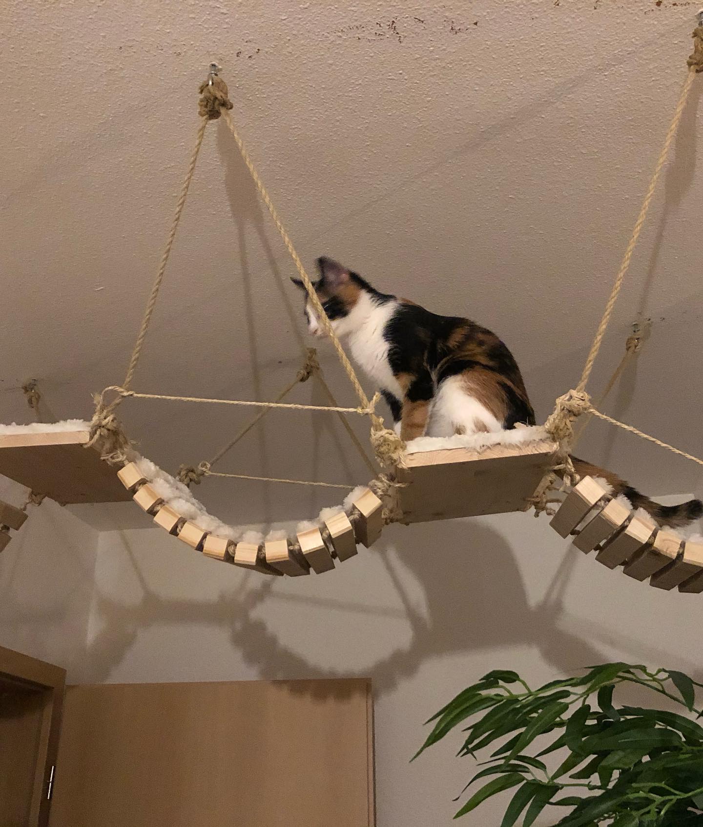 gumihohannya instagram image archive image