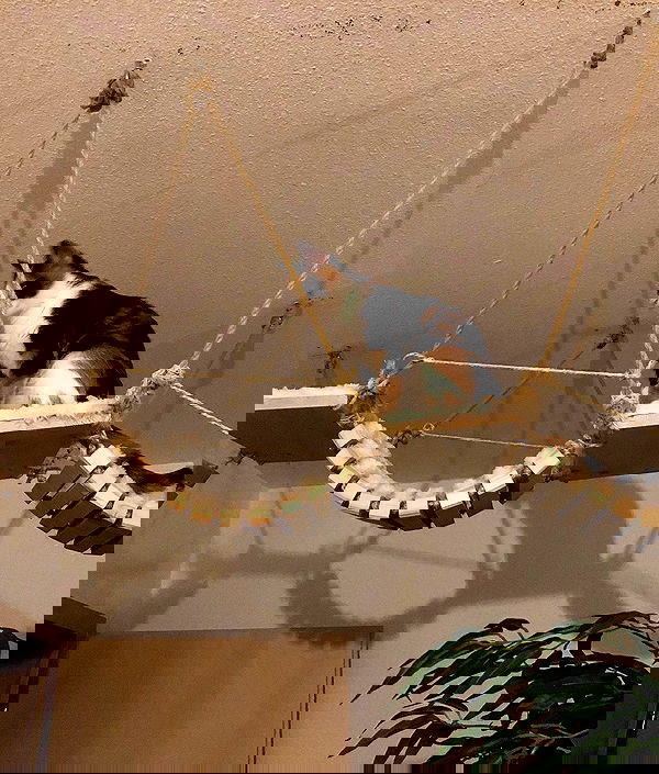 gumihohannya image ~ Altpins