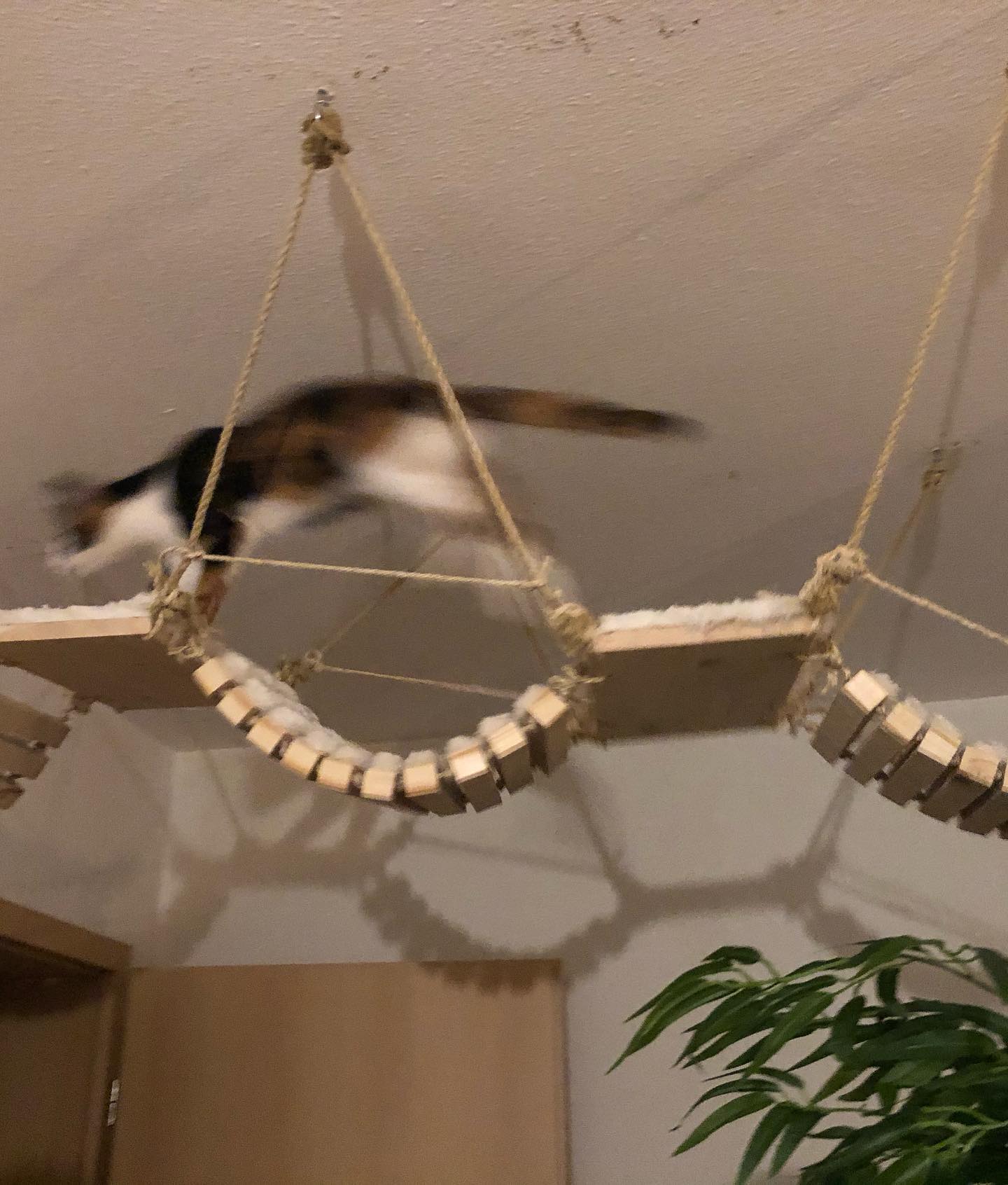 gumihohannya instagram image archive image