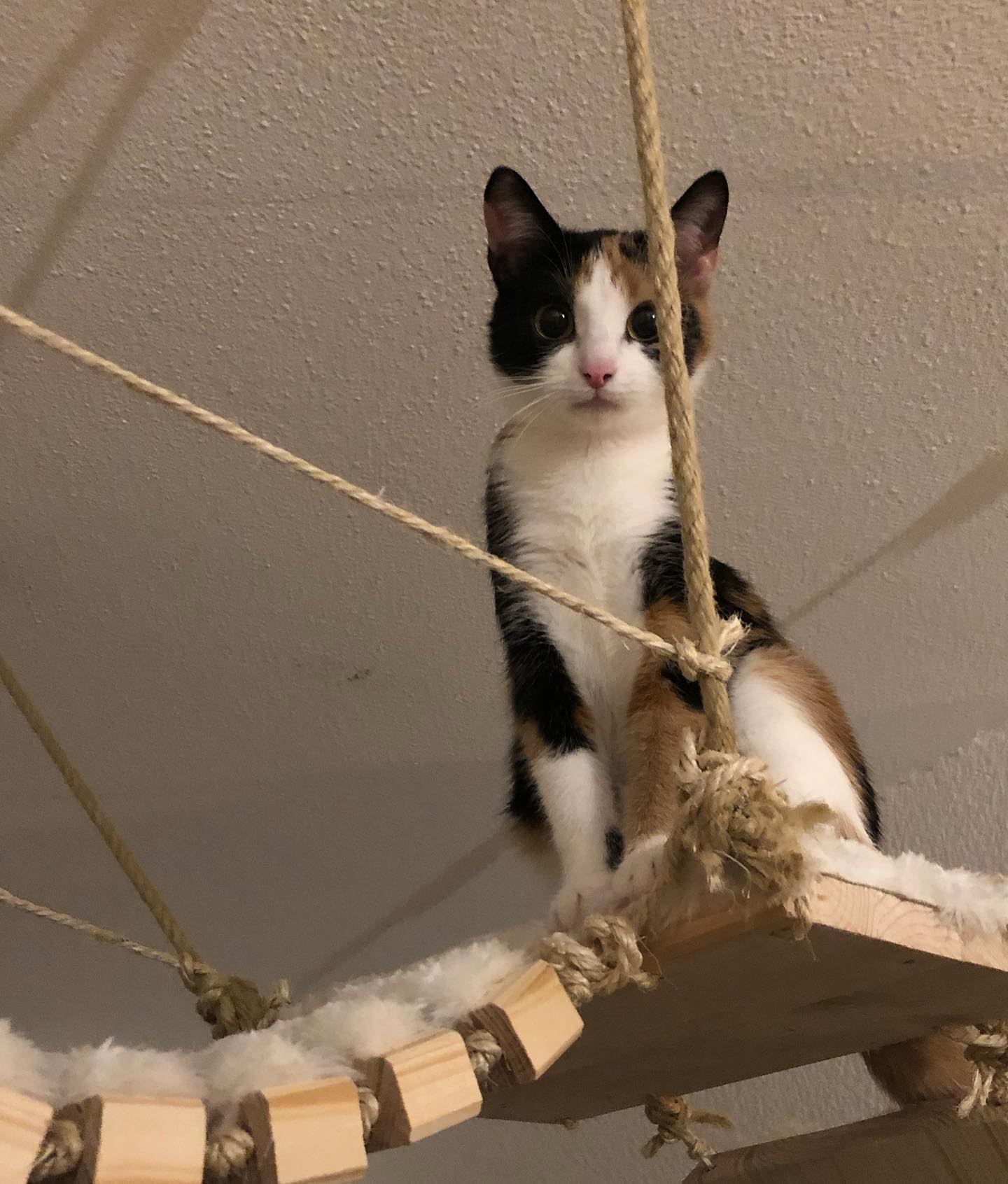 gumihohannya instagram image archive image