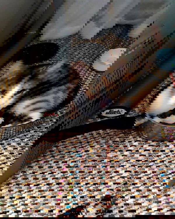 gumihohannya image ~ Altpins