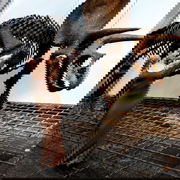 gumihohannya image ~ Altpins