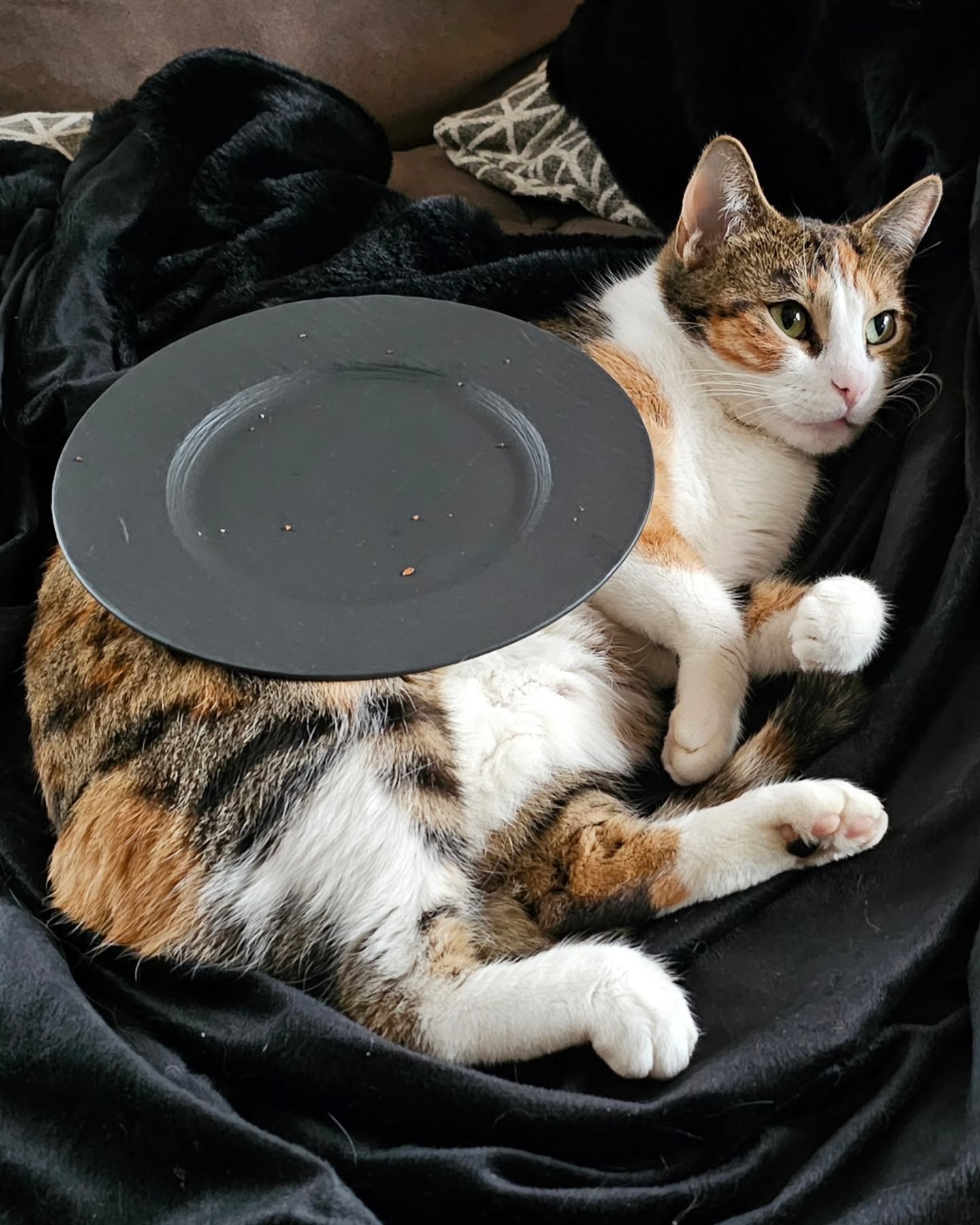 gumihohannya instagram image archive image