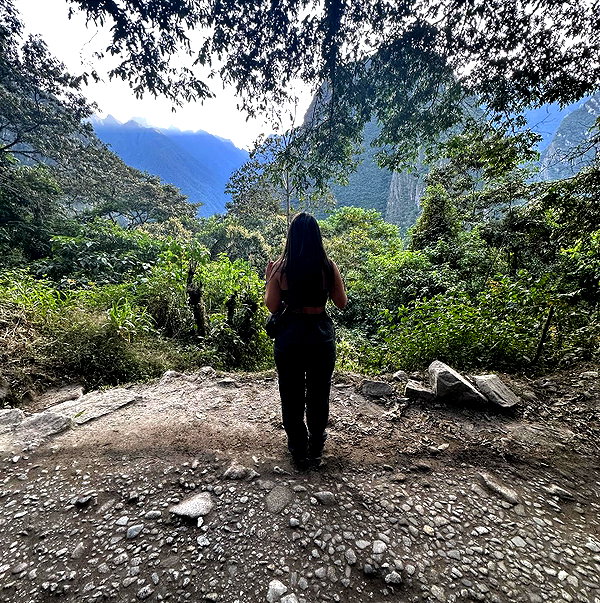 hagarschubert instagram image archive image