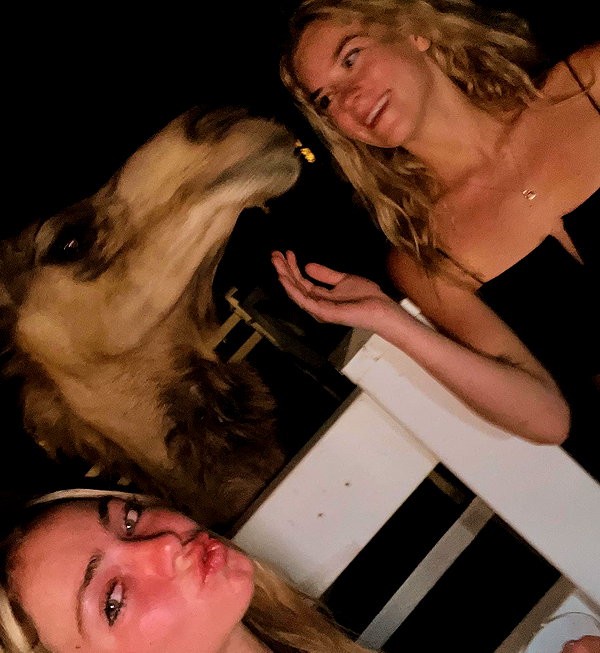 haileyy.ramirez instagram image archive image