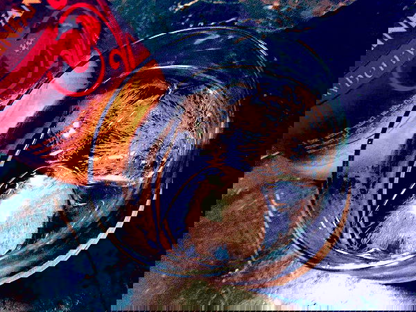 hana.bunny_bunny image ~ Altpins