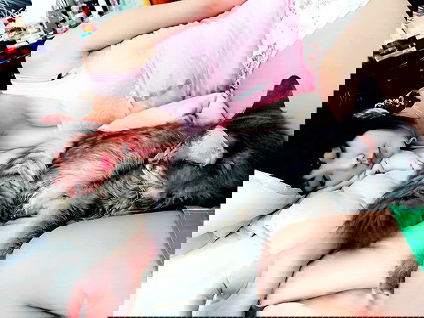 hana.bunny_bunny image ~ Altpins