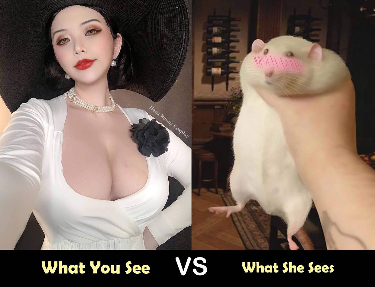 hana.bunny_bunny instagram image archive image