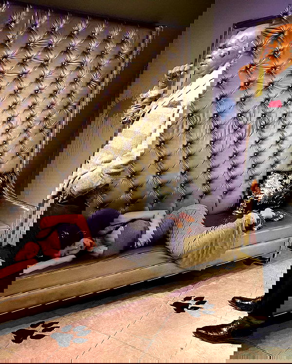 hana.bunny_bunny image ~ Altpins