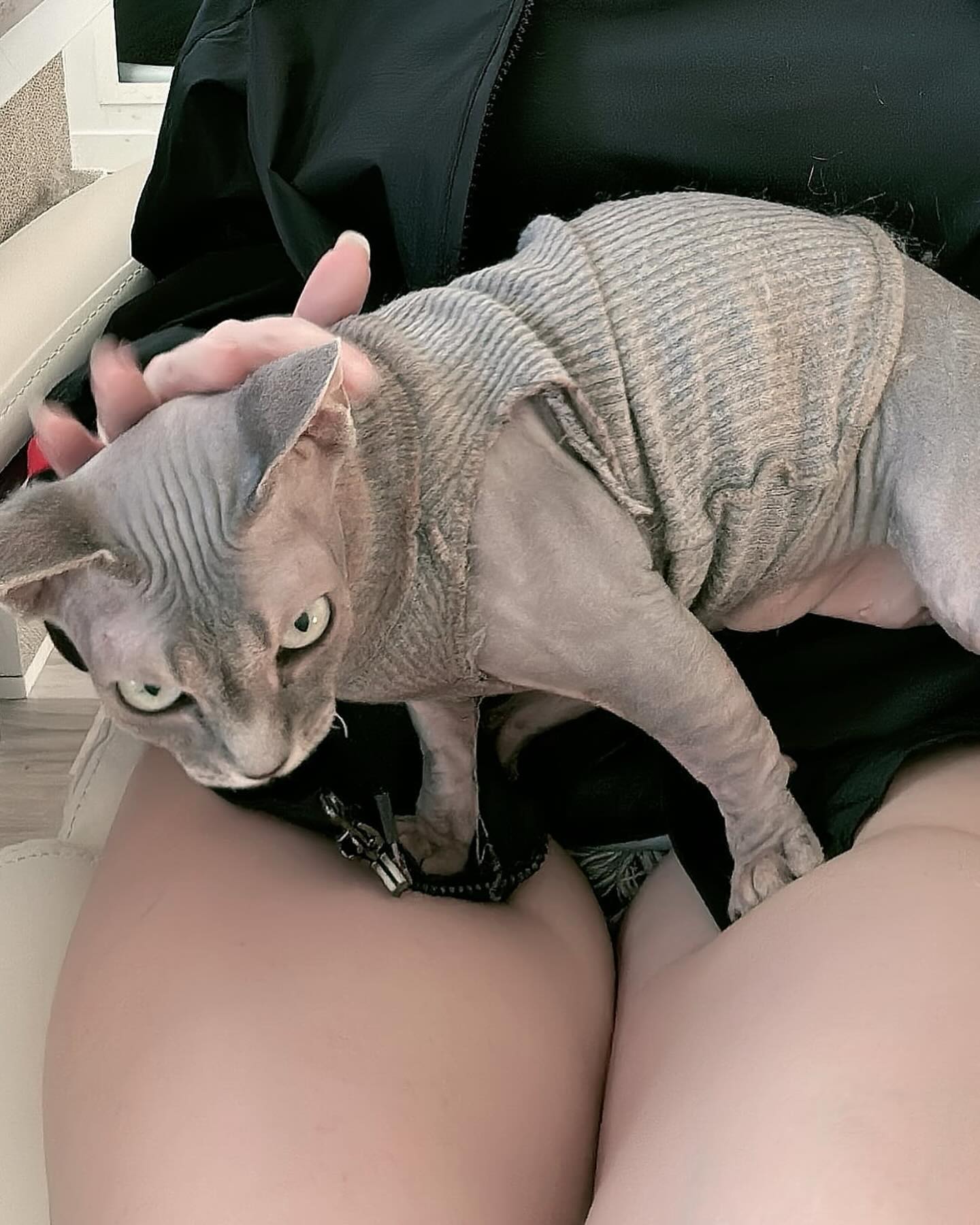 hana.bunny_bunny instagram image archive image