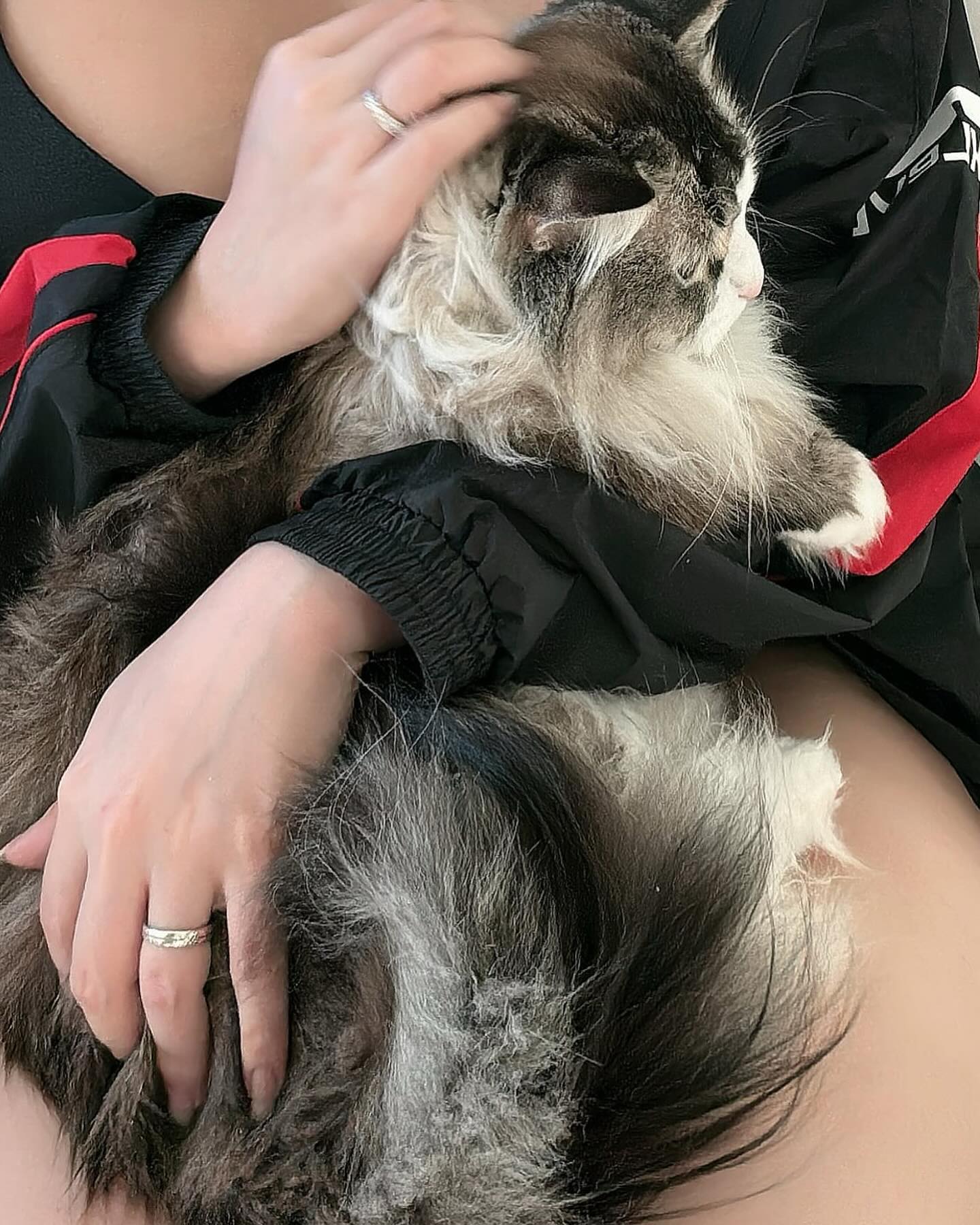 hana.bunny_bunny instagram image archive image