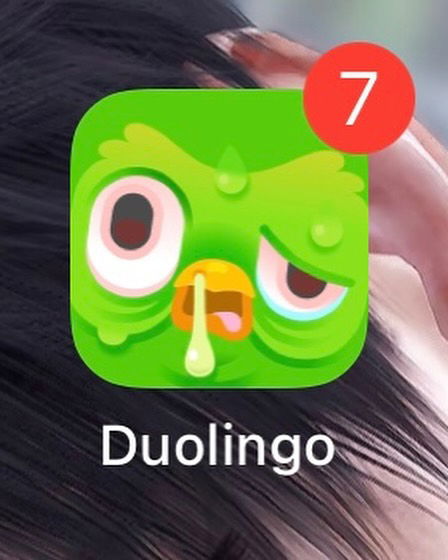 hana.bunny_bunny instagram image archive image