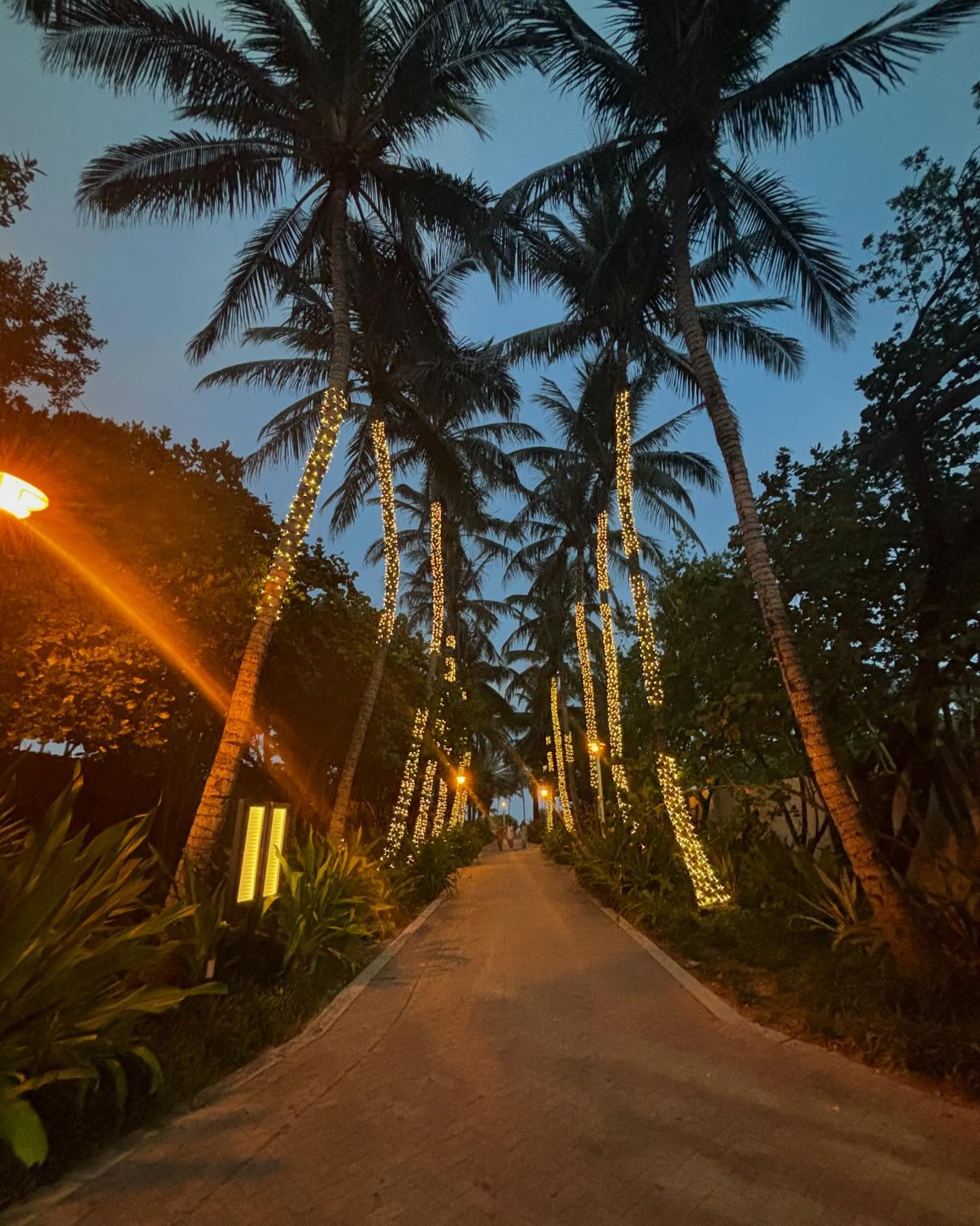 hana.bunny_bunny instagram image archive image