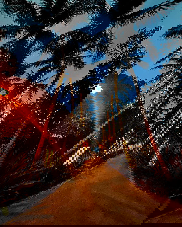 hana.bunny_bunny image ~ Altpins