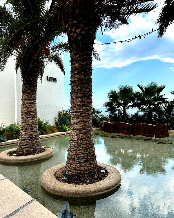 hani_mamo instagram image archive image