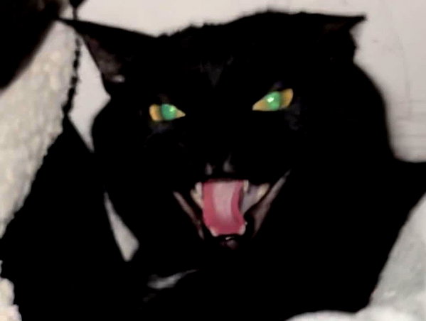 hellowkitty4ever instagram image archive image