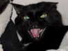 hellowkitty4ever Altpins Profile Picture
