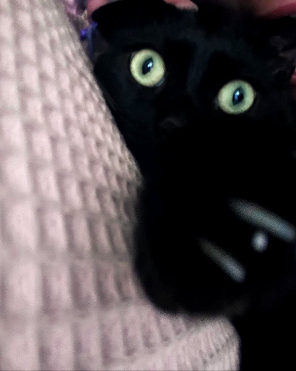 hellowkitty4ever instagram image archive image