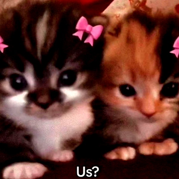 hellowkitty4ever instagram image archive image