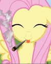 hellowkitty4ever Altpins Profile Picture