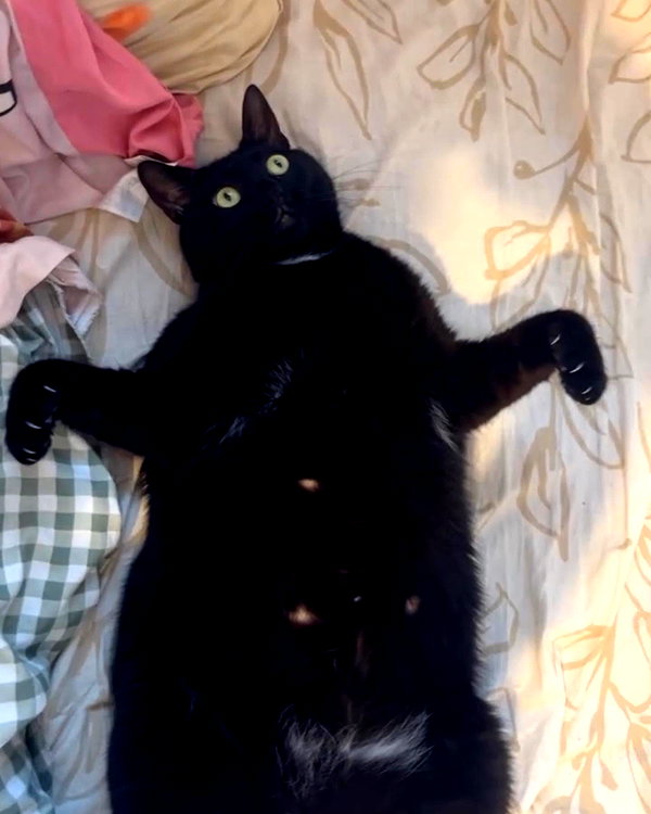 hellowkitty4ever instagram image archive image