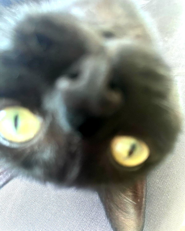 hellowkitty4ever instagram image archive image
