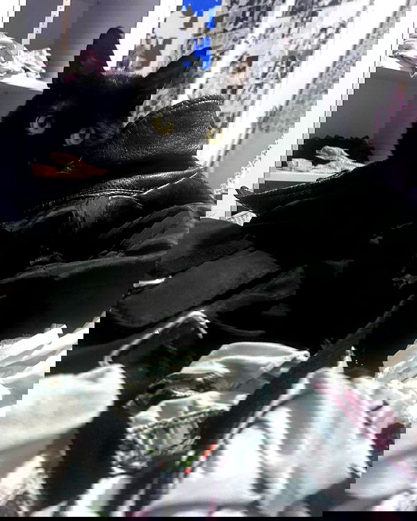 hellowkitty4ever hellowkitty4ever archive image