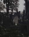 hihotlam Altpins Profile Picture