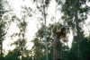 hilla.sela Altpins Profile Picture