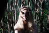 hilla.sela Altpins Profile Picture