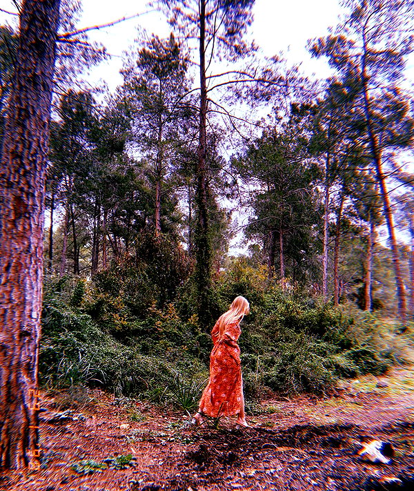 hilla.sela instagram image archive image
