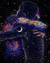 hilla.sela Altpins Profile Picture