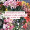 hilla.sela Altpins Profile Picture