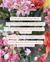 hilla.sela Altpins Profile Picture