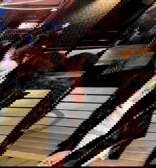 hundomewtwo hundomewtwo archive image