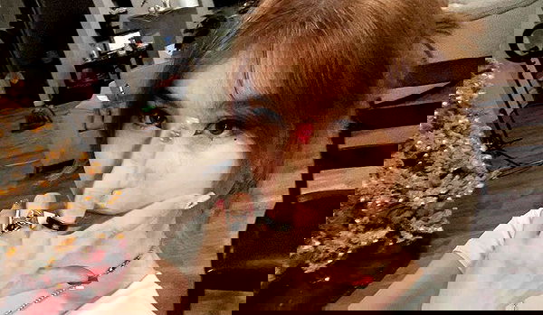 hundomewtwo hundomewtwo archive image