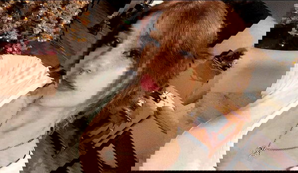 hundomewtwo hundomewtwo archive image