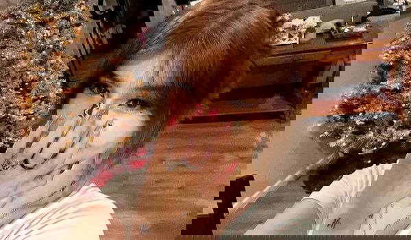 hundomewtwo hundomewtwo archive image