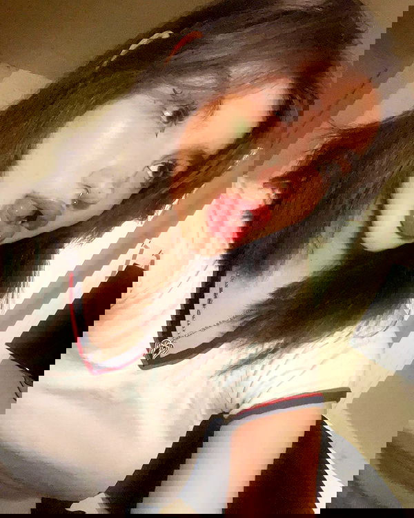 hundomewtwo hundomewtwo archive image