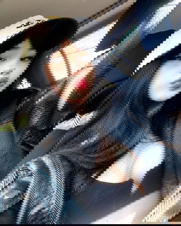 hundomewtwo hundomewtwo archive image