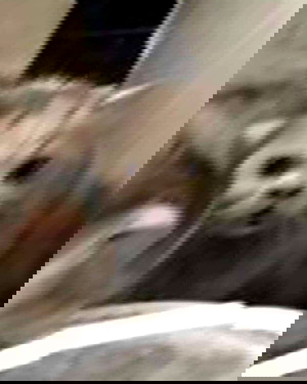 iamdorasnow iamdorasnow archive image