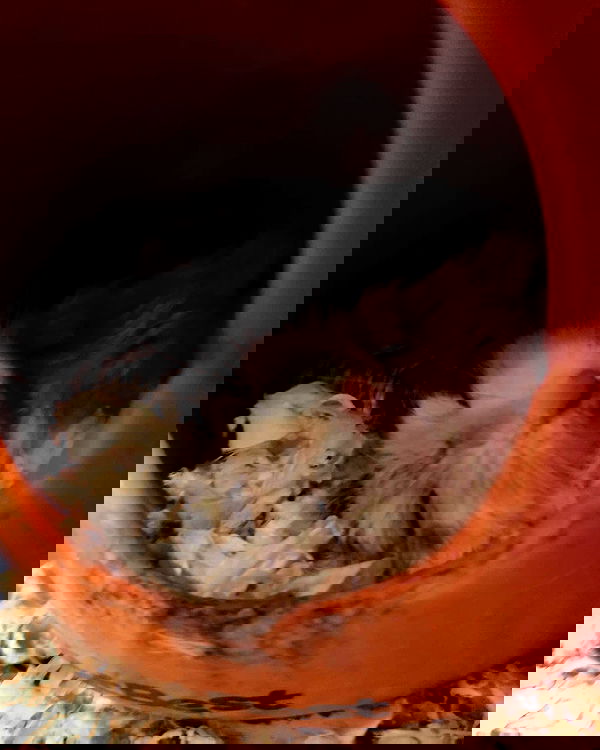 iamdorasnow iamdorasnow archive image