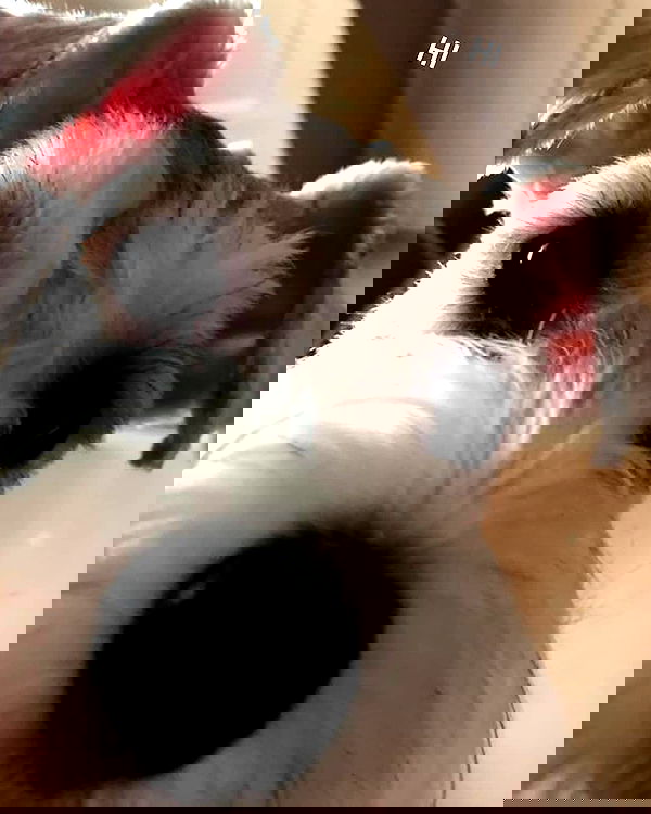 iamdorasnow iamdorasnow archive image