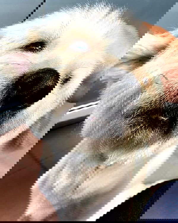 iamdorasnow iamdorasnow archive image