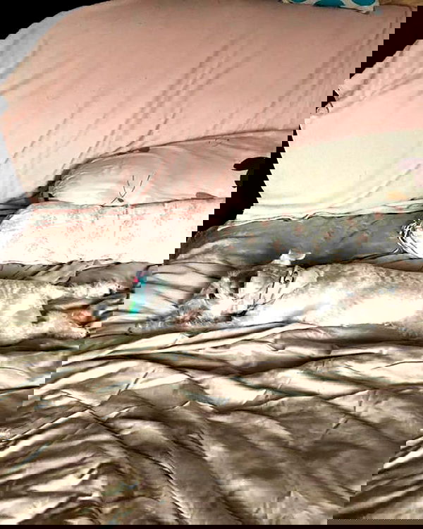 iamdorasnow iamdorasnow archive image