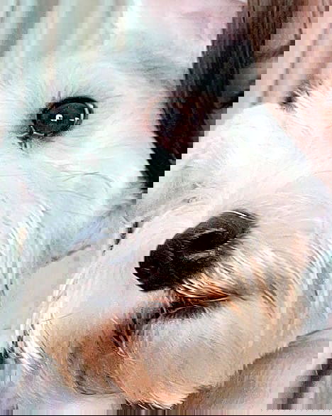 iamdorasnow iamdorasnow archive image