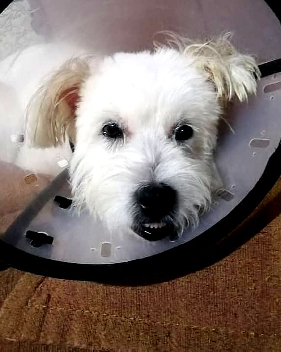 iamdorasnow iamdorasnow archive image