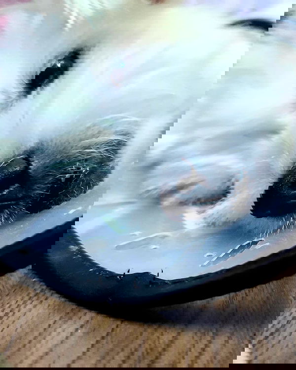 iamdorasnow iamdorasnow archive image