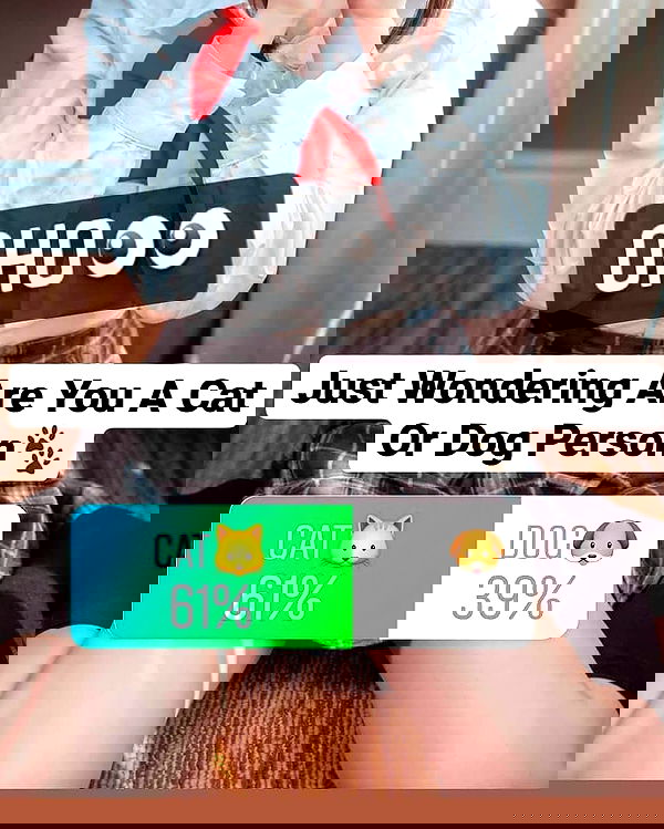 iamdorasnow iamdorasnow archive image